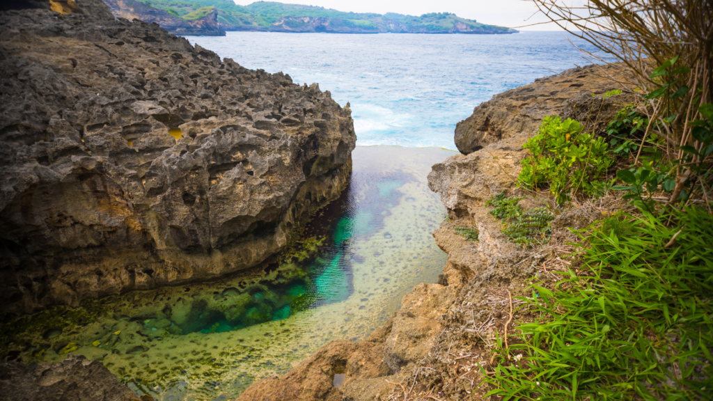 West Trip Nusa Penida