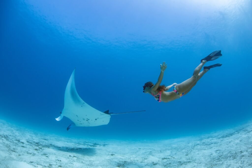 Lembongan Snorkeling Shared at Manta Point, Crystal Bay & Mangrove