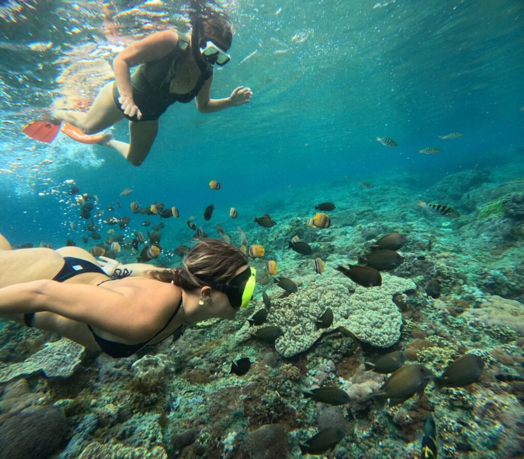 Nusa Penida Snorkeling Shared Trip at Manta Point, Gamat Bay, Wall Bay