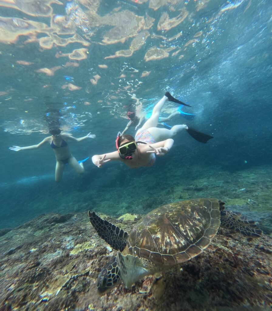 Nusa Penida Snorkeling Shared Trip at Manta Point, Gamat Bay, Wall Bay
