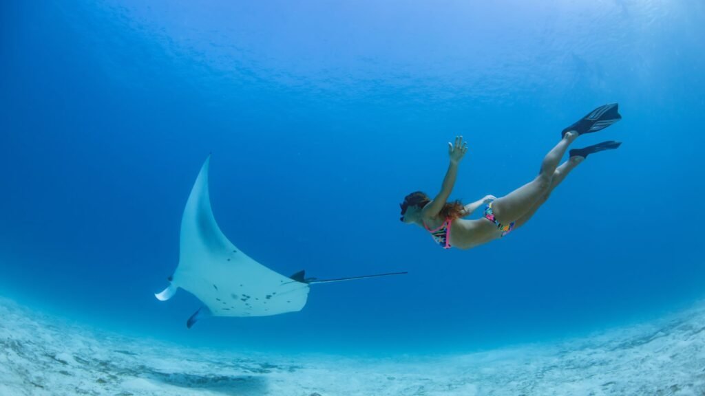 One Day Nusa Lembongan Snorkeling Trip Package