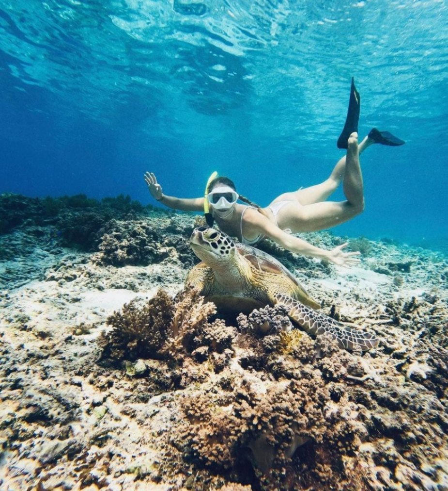 Lombok : Private Snorkeling at 4 Gili Spots with GoPro Camera.