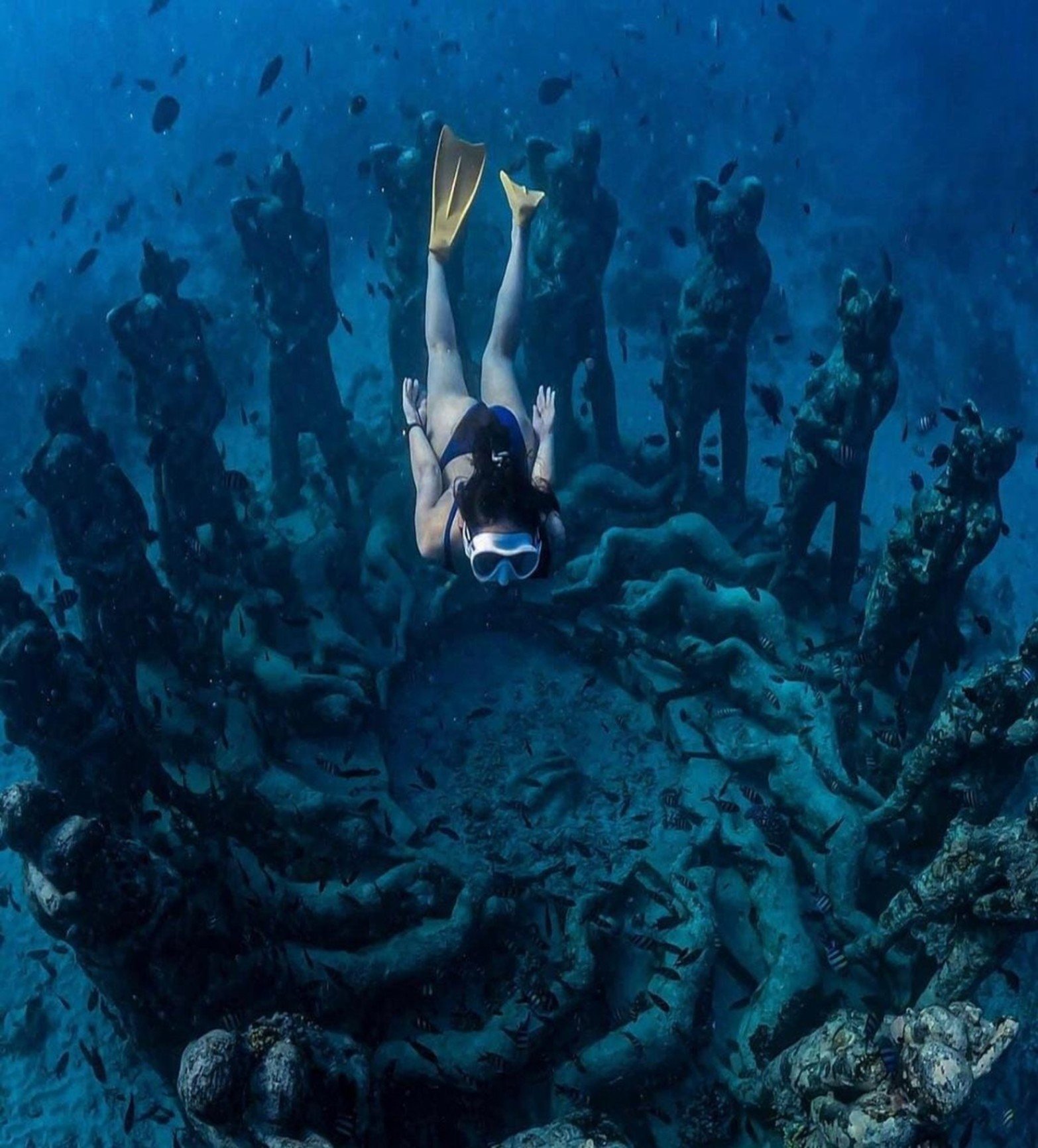 Lombok : Private Snorkeling at 4 Gili Spots with GoPro Camera.