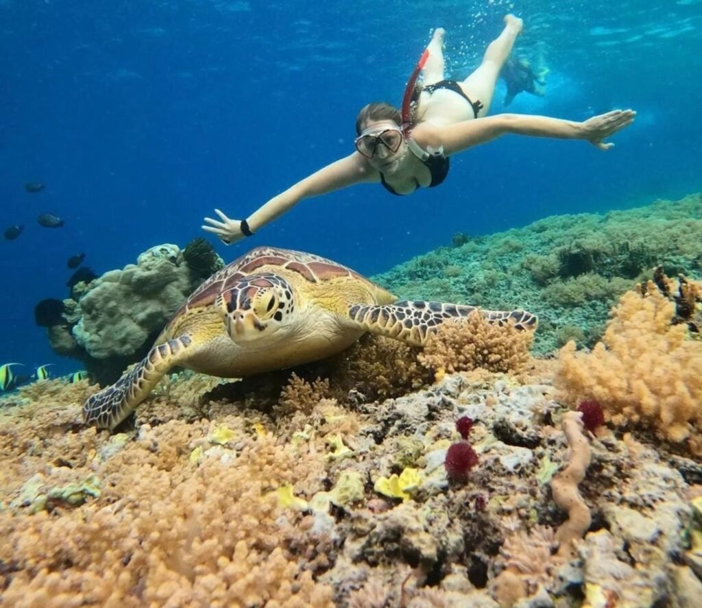 Lombok : Private Snorkeling at 4 Gili Spots with GoPro Camera.