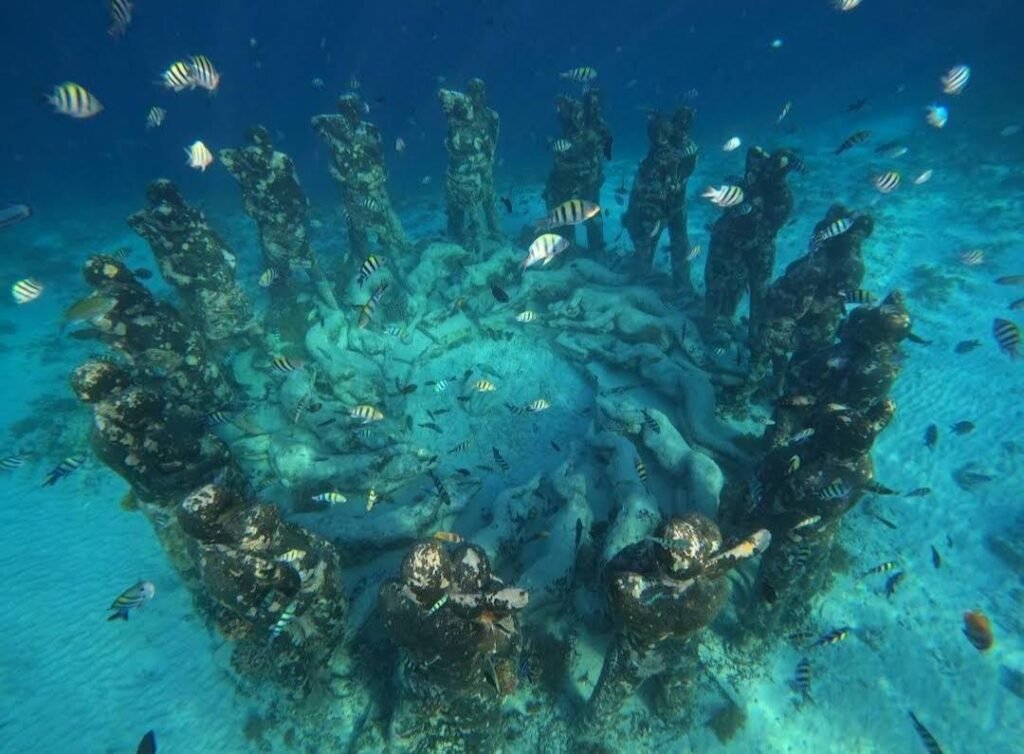 Lombok : Private Snorkeling at 4 Gili Spots with GoPro Camera.